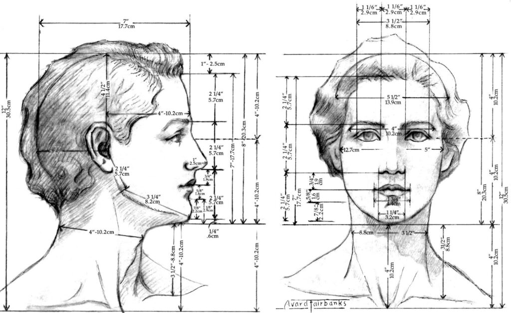 graphic proportions of a woman’s head in full-face and profile