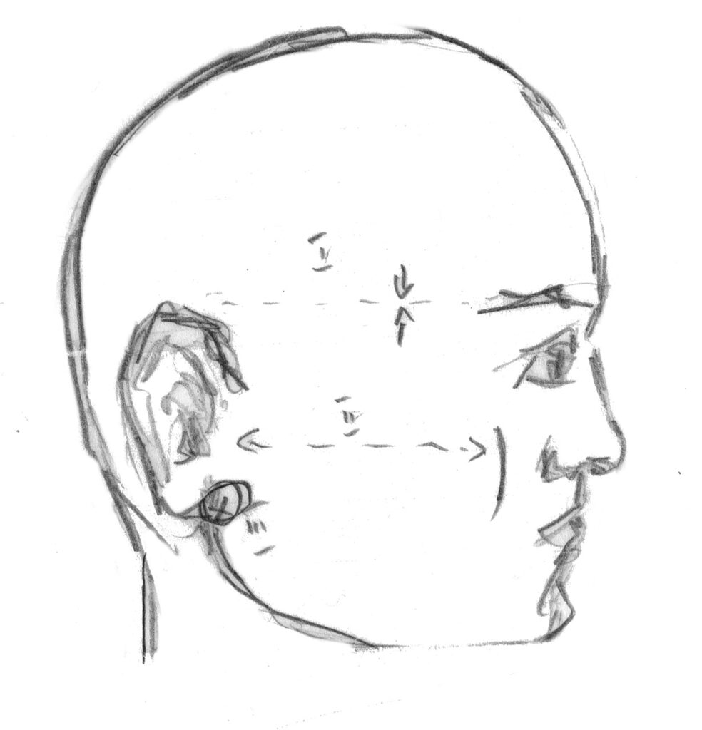 a sketch of a male’s head in profile