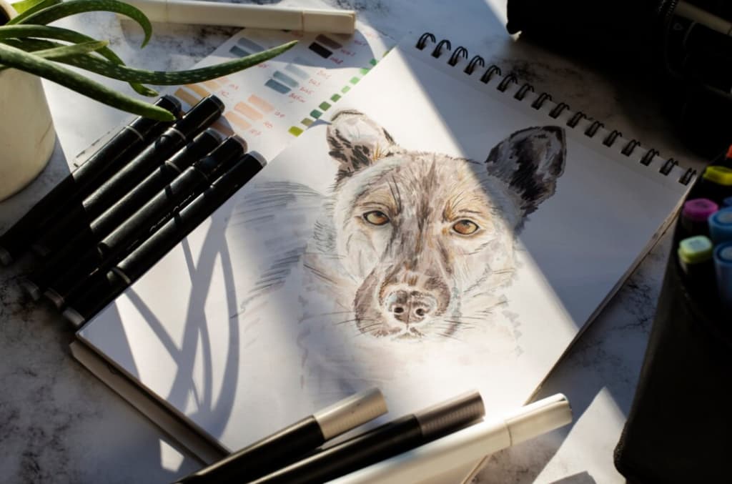 Sketch of a dog's face with markers on a spiral notebook, sunlight casting shadows