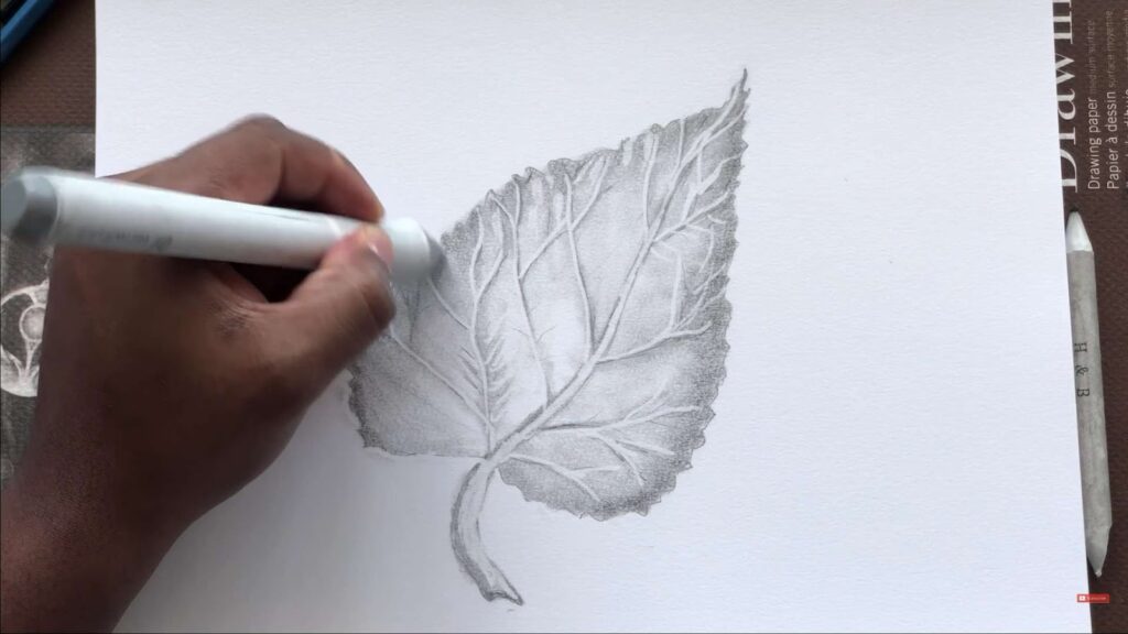 Close up of man drawing a leaf