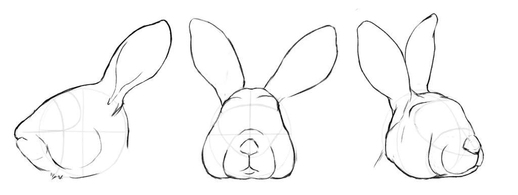 A rabbit that's drawn step-by-step