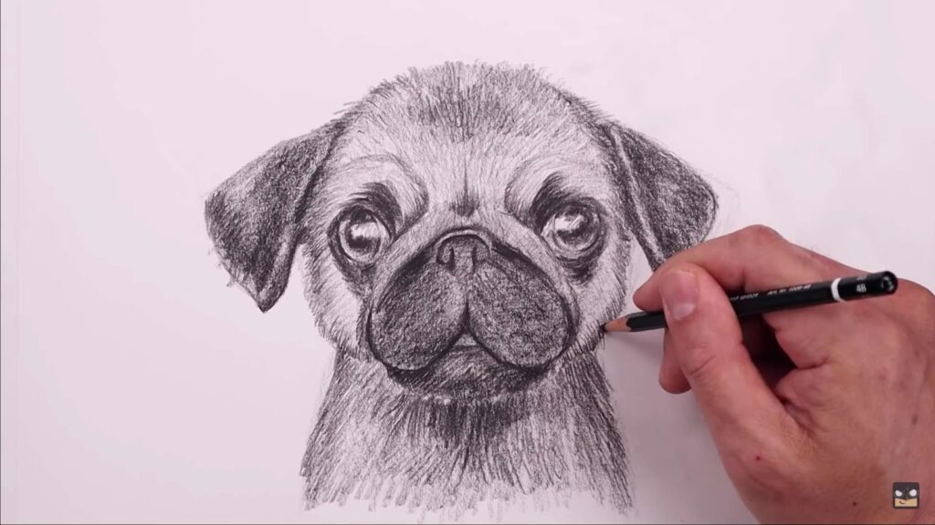 Man drawing puppy