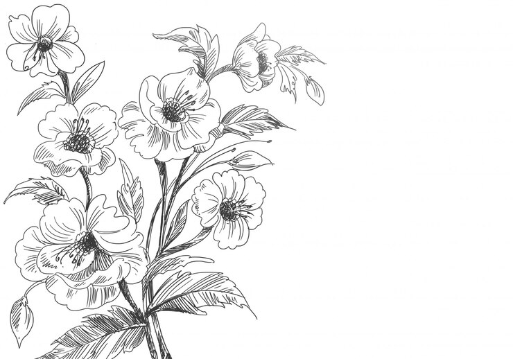 Flower Sketch